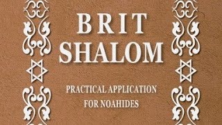 בני נח of TLC  Brit Shalom Review  Chapter 1011 [upl. by Arihsa]