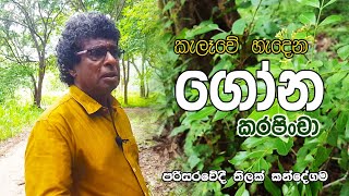 කැලෑවේ හැදෙන ගෝන කරපිංචා  තිලක් කන්දේගම  Wild Savory  Sri Lanka [upl. by Hizar366]