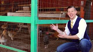 Inspector Go  Tolmachoff Farms Educational videos for kids and toddlers [upl. by Schrick]