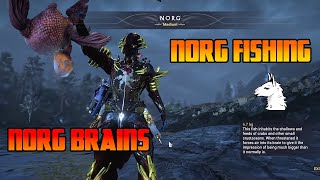 Lets Play Warframe 245 Norg Fishing  Norg Brains [upl. by Alcine]