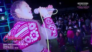 ►CELINDA ALMANACIN ►Perdóname Por Favor  Willy Producciones 2018 [upl. by Neivad]