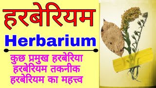 हरबेरीयम  All about Herbarium  How to make a simple Herbarium File  Role of herbarium in botany [upl. by Ixel]