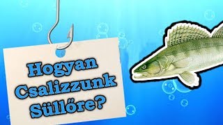 Hogyan Csalizzunk Süllőre [upl. by Alimat802]