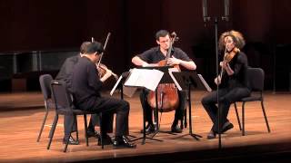 Ligeti String Quartet No 1 quotMétamorphoses nocturnesquot Movements I  XII [upl. by Ahsieyk]