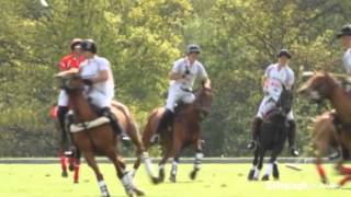 Prince William and Prince Harry win charity polo match at Ascot [upl. by Killie174]