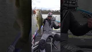 Meet the 10 HighestEarners in Professional Bass Fishing [upl. by Adnoek40]