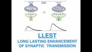 Kandel Neural basis of memory [upl. by Nocaed]