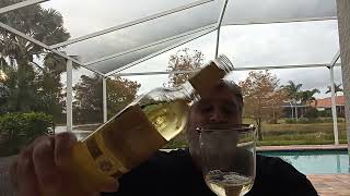 Caramel Ricas Castle Pinot Grigio Wine Review Romania [upl. by Hillard]