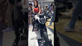 All new 2024 Honda Hornet 500 [upl. by Dittman]