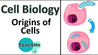 15  Origin Of Cells amp Endosymbiotic Theory  IB Biology  TeachMe [upl. by Jallier]