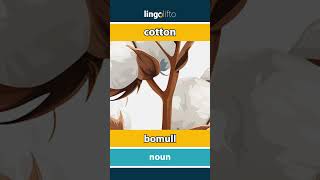 🇬🇧🇸🇪 cotton  bomull  vocabulary builder  learn English  låt oss lära oss engelska [upl. by Artenak]