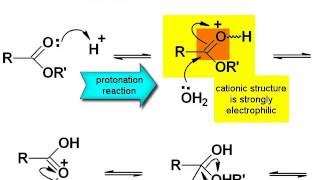 Chemistry Vignettes Acid catalysed ester hydrolysis [upl. by Attaynek]