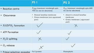 difference between photosystem 1 and photosystem 2 [upl. by Ajam]