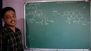 9 Total Synthesis of Reserpine through Reserpic Acid  Chemistry of Alkaloids [upl. by Lon]