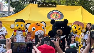 202467 台湾デーイベントのキー太くん阪神キー太 トラッキーラッキー台湾チア台湾マスコットタイガースガールズかわいい癒し [upl. by Jacintha]