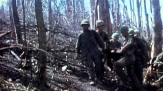 Vietnam War Veteran Tribute Video [upl. by Island461]