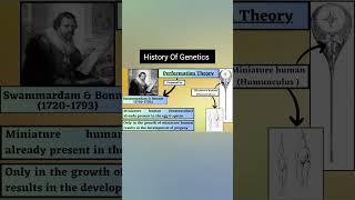 Preformation theory genetics plantscience jrfplantscience [upl. by Esekram]