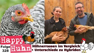 Verschiedene Hühnerrassen im Vergleich Unterschied Hybridhühner und Rassegeflügel HAPPY HUHN E328 [upl. by Laehcor]