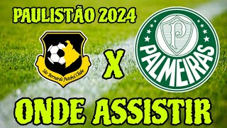 SÃƒO BERNARDO X PALMEIRAS ONDE ASSISTIR ONDE VAI PASSAR PAULISTÃƒO 2024 QUAL CANAL ASSISTIR [upl. by Lorry616]