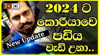 2024 කොරියාවෙ වැටුප  2024 korean salary update  2024 කොරියාවෙ පඩි  south korea salary  lasa vlog [upl. by Aleakcim]