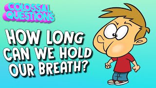 How Long Can You Hold Your Breath  COLOSSAL QUESTIONS [upl. by Reffotsirhc]