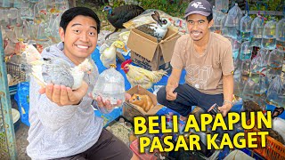 BELI APAPUN HEWAN DI PASAR KAGET UNPAD PALING RAMAI RESCUE BINATANG TERLANTAR [upl. by Ahdar407]