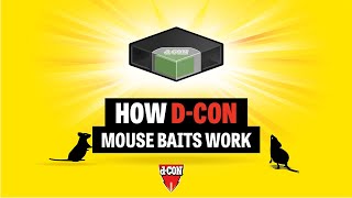 How dCON mouse bait works [upl. by Loralie215]