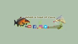 Using Liquidised Bread for Carp Fishing [upl. by Pelagias]