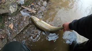 March Steelhead fishing day 1 of 2 [upl. by Yug]