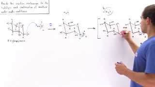 Condensation and Hydrolysis of Sugars [upl. by Guy]