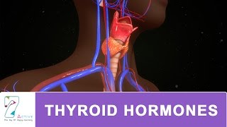 THYROID HORMONES [upl. by Lecia365]