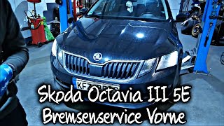 Skoda Octavia III 5E  TDI  Bremsen Vorne wechseln  Drehmomentwerte  Front Brakes Replacement [upl. by Dulla]