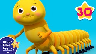 Bugs Bugs Bugs Bugs  MORE  Nursery Rhymes and Kids Songs  Little Baby Bum  Animal for Kids [upl. by Sinned]