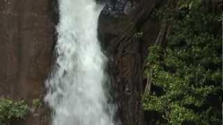 Waterfall Trail  McBryde Garden  National Tropical Botanical Garden [upl. by Adnomar]