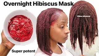 Overnight Hibiscus hair mask for hair growth amp thickness [upl. by Godfrey]