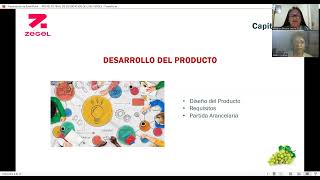 PLAN ESTRATEGICO DE EXPORTACION DE UVAS PERUANAS [upl. by Petes899]