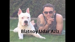 ✵18Blatnoy Udar ✵ Pod Kaifam ✵2018 Live [upl. by Ardine197]