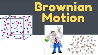 Brownian motion What is Brownian movement TNSCERT Class 9 [upl. by Slotnick59]