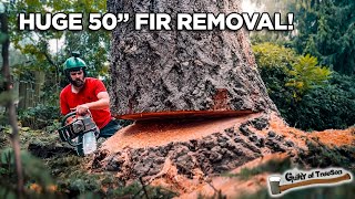 Removing a LARGE Dangerous Fir Tree [upl. by Volin]