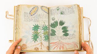 Voynich Manuscript Full version  ASMR  Facsimile Editions and Medieval Illuminated Manuscripts [upl. by Zetroc]