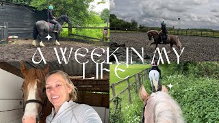 A WEEK IN MY LIFE WITH ALL 3 HORSES  HORSE VLOG [upl. by Cousins47]