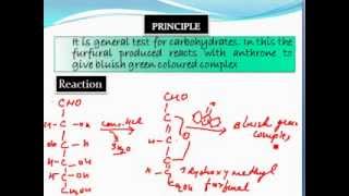 CARBOHYDRATE TEST PART 3 Anthrone test  Picric Acid Test  Carbohydrate Test [upl. by Kcirret809]