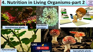 Nutrition in living organismspart 2  STD  7 th Science [upl. by Yornoc]