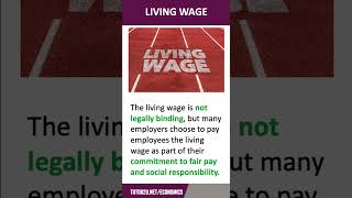 Living Wage  60 Second Economics  ALevel amp IB [upl. by Gavrielle]