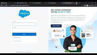 Profiles in Salesforce [upl. by Valeta]