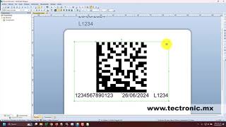 Tutorial Códigos 2D práctico para la Trazabilidad usando Bartender ZPL QR Datamatrix y Code 128 [upl. by Aivilys399]