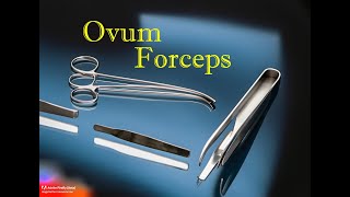 Ovum Forceps Essential Medical Instrument for Obstetric Procedures [upl. by Claire]