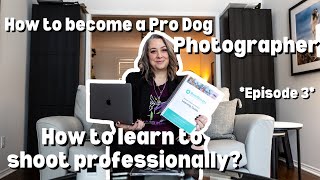 HowTo Become a Professional Dog Photographer EPISODE 3 My Top Dog Photography Education Resources [upl. by Tadashi]