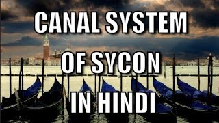 Sycon का नलिका प्रणाली हिंदी में विस्तृत नोट्स canal system of sycon notes in hindi [upl. by Kokoruda]