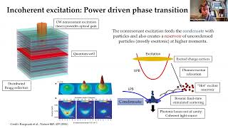 Programmable networks of excitonpolariton condensates [upl. by Filahk756]